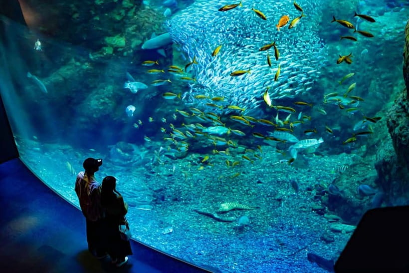 Enoshima Aquarium: Admission Ticket - Why Enoshima Aquarium Works as a Coastal Japan Stop