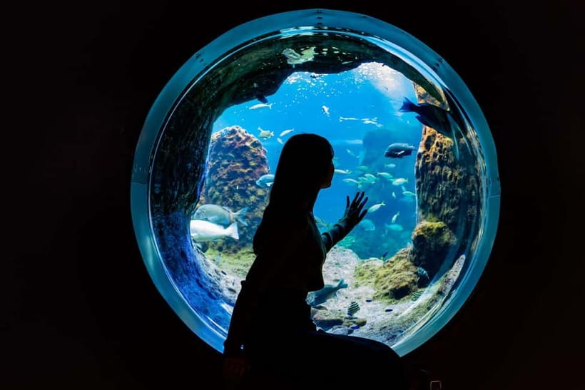 Enoshima Aquarium: Admission Ticket - From Coastal Waters to the Pacific