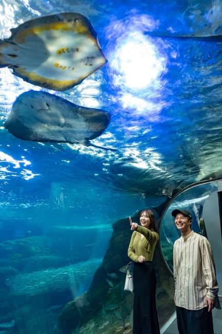 Enoshima Aquarium: Admission Ticket - Starting with Sagami Bay