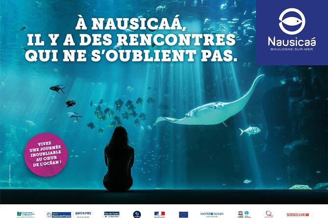 Entrance Ticket Nausicaa, the biggest aquarium in Europe - Entering the aquarium and handling the voucher