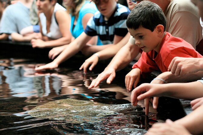 Entrance Ticket Nausicaa, the biggest aquarium in Europe - Family comfort, accessibility, and practical limits