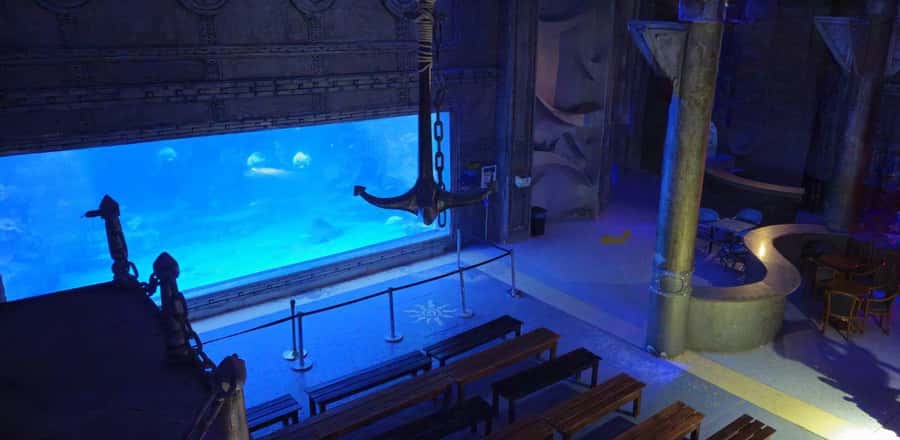 Entry Ticket: Grand Aquarium Hurgada - The rainforest exhibit and rope bridge