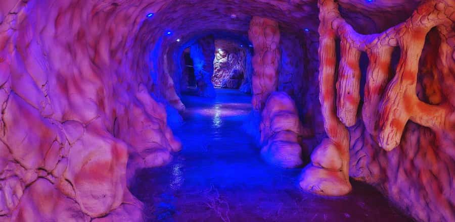 Entry Ticket: Grand Aquarium Hurgada - The mini zoo: tortoises, camels, monkeys, and birds