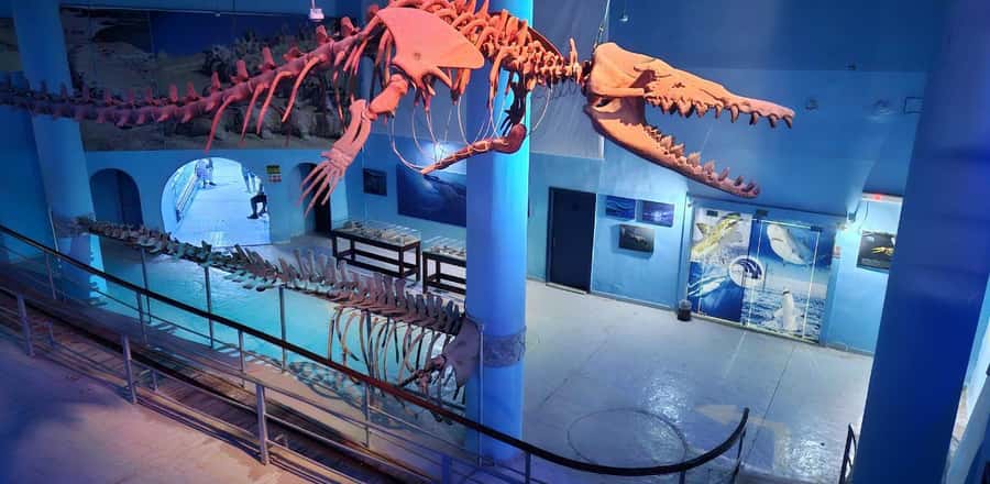 Entry Ticket: Grand Aquarium Hurgada - Touch pools and close encounters