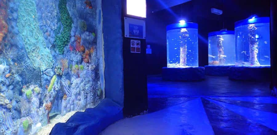 Entry Ticket: Grand Aquarium Hurgada - Photography, staff, and practical comfort