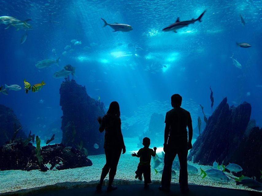 From city of Side: Antalya Aquarium Full-Day Trip - Key points before you book