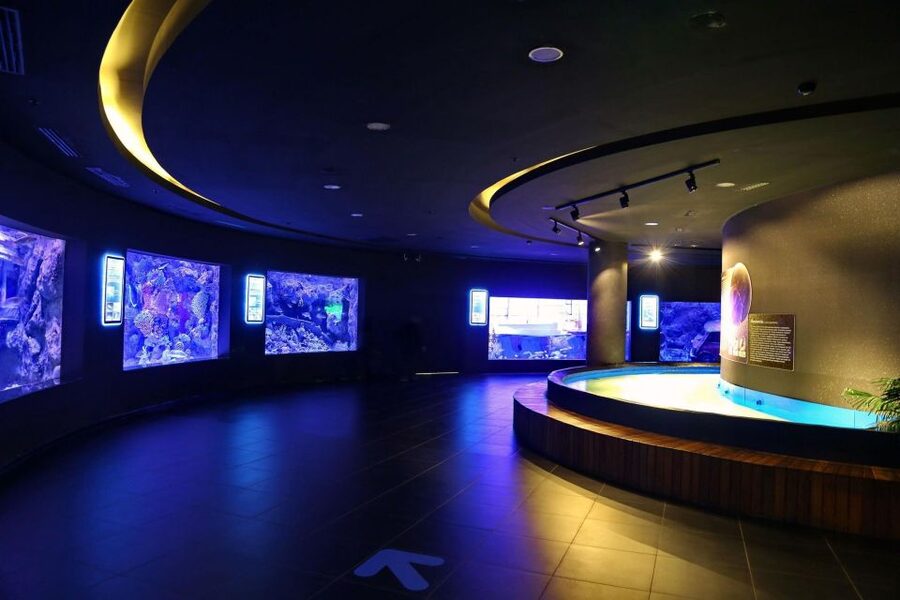 From city of Side: Antalya Aquarium Full-Day Trip - Snow World at minus 5 degrees