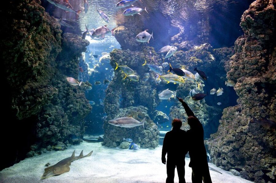 From city of Side: Antalya Aquarium Full-Day Trip - Wild Park, caves, deserts, and sound effects