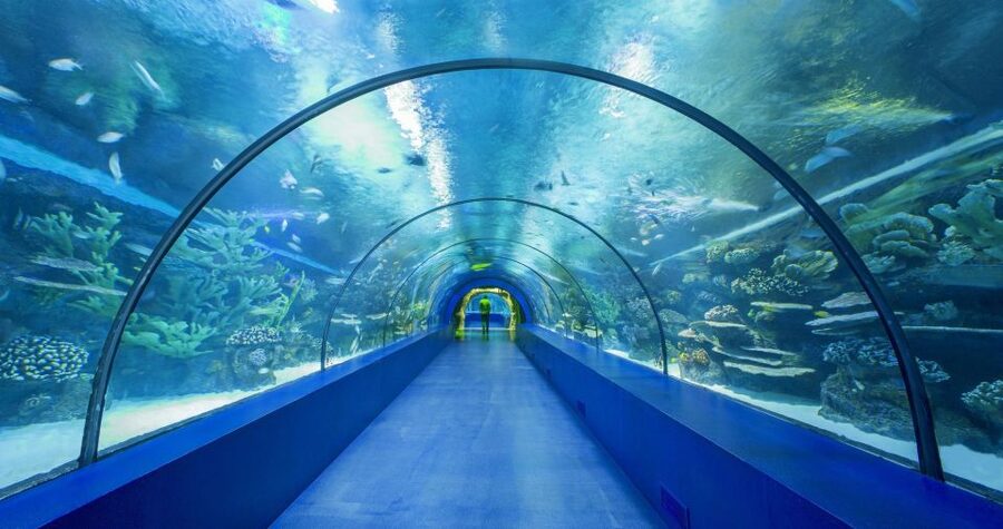 From city of Side: Antalya Aquarium Full-Day Trip - Guides, timing, and the mixed transport experience