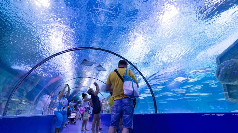 From city of Side: Antalya Aquarium Full-Day Trip - Should you book the Antalya Aquarium trip from Side?