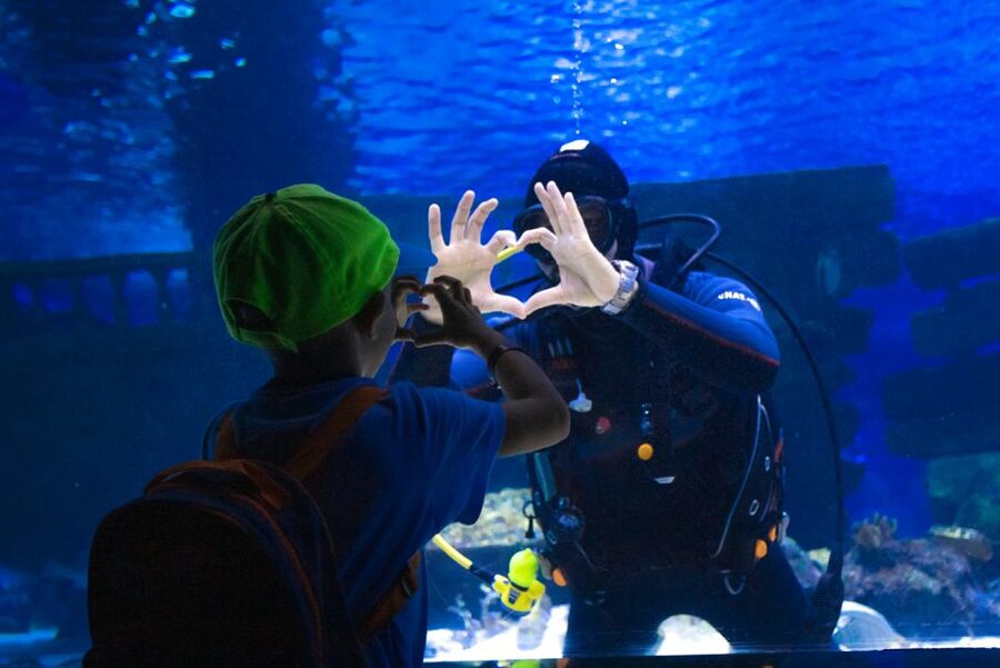 From City of Side: Antalya Aquarium Tour, Ticket & Transfer - Key points to know before booking