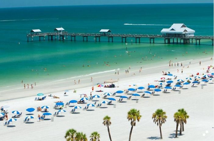 From Orlando: Clearwater Beach and Marine Aquarium Admission - Why this Orlando day trip works