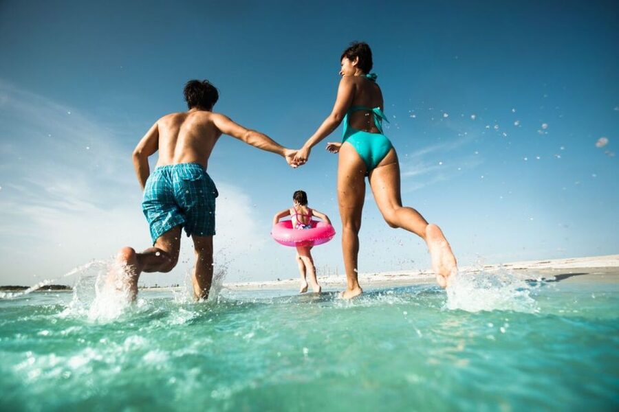 From Orlando: Clearwater Beach and Marine Aquarium Admission - Lunch, drinks, and the cost