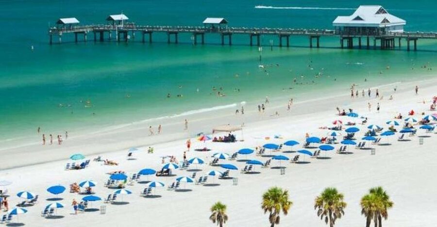 From Orlando: Clearwater Beach and Marine Aquarium Admission - The people who make the day easier