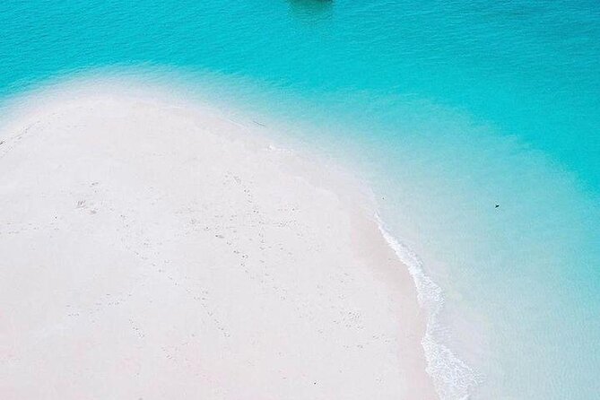 Full Day Private Mnemba Island + Turtles Aquarium & Kendwa Beach - The guide can shape the whole experience