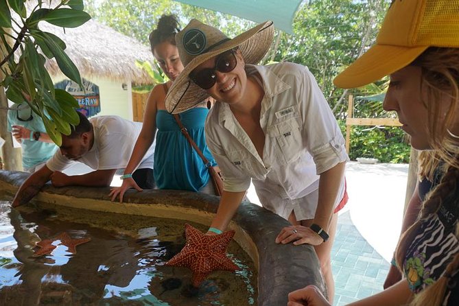 Full-Day Tour of Florida Keys Including Aquarium Encounters from Key West - Why this Florida Keys day tour is worth considering