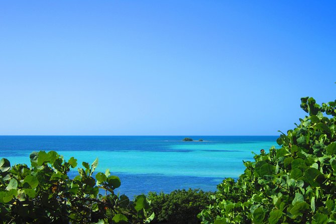 Full-Day Tour of Florida Keys Including Aquarium Encounters from Key West - Looking for Key Deer on Big Pine Key