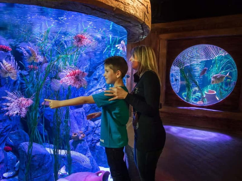 Gardaland SEA LIFE Aquarium: Open Date Entry Ticket - Is the ticket good value?