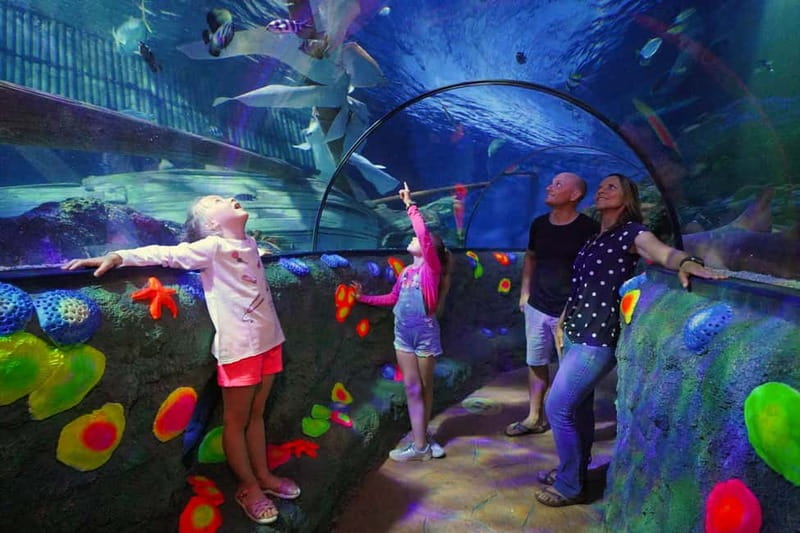 Gardaland SEA LIFE Aquarium: Open Date Entry Ticket - Starting with the 40 themed tanks
