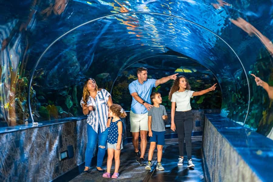 Gatlinburg: Ripley's Aquarium of the Smokies & Combo Ticket - Starting with Ripley’s Aquarium of the Smokies