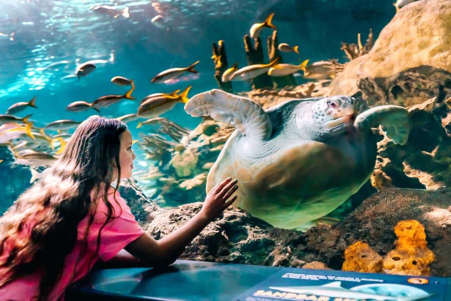 Gatlinburg: Ripley's Aquarium of the Smokies & Combo Ticket - Mini golf for a slower afternoon