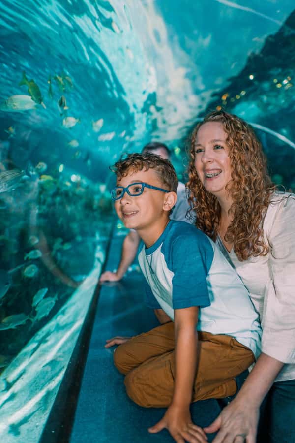 Gatlinburg: Ripley's Aquarium of the Smokies & Combo Ticket - Is $44 a good value?