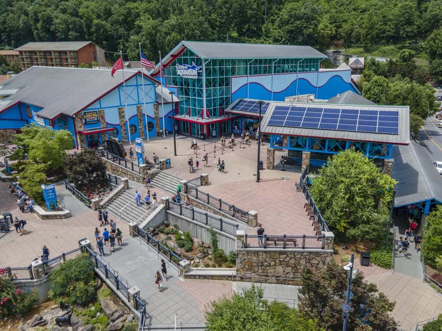 Gatlinburg: Ripley's Aquarium of the Smokies & Combo Ticket - A practical plan for one full day