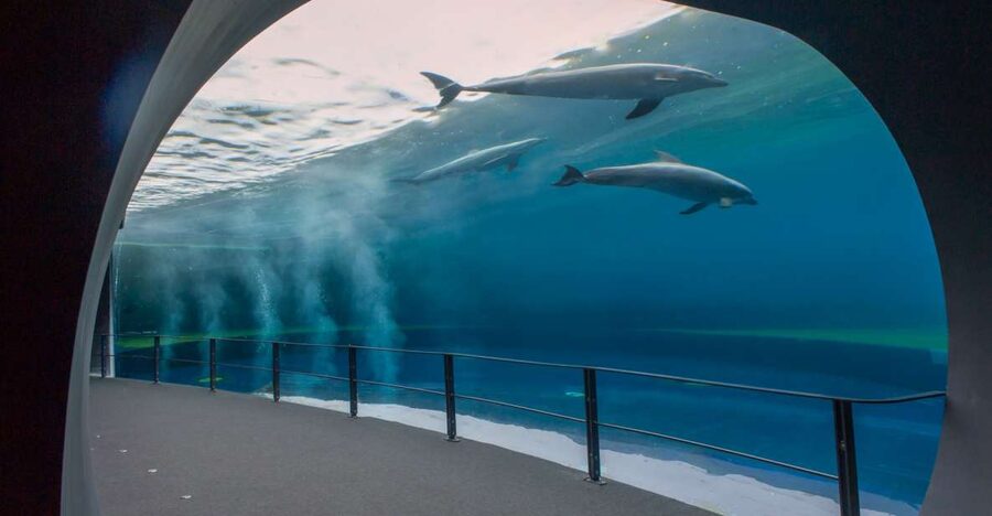 Genoa: Aquarium and FantaCinema Combined Ticket - Walking to FantaCinema in Porto Antico