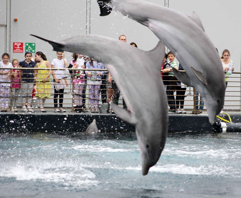 Genoa: Aquarium, Galata Museum and Submarine Entry Tickets - Practical details that can save time