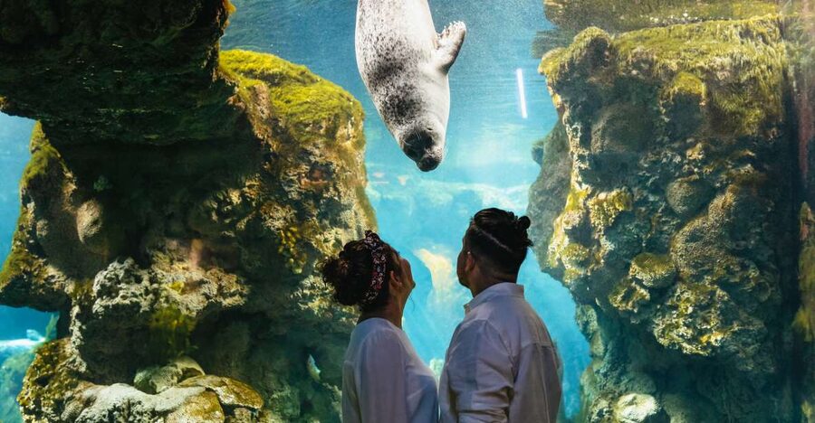 Genoa: Aquarium of Genoa Entry Ticket - Access, family comfort, and practical limits
