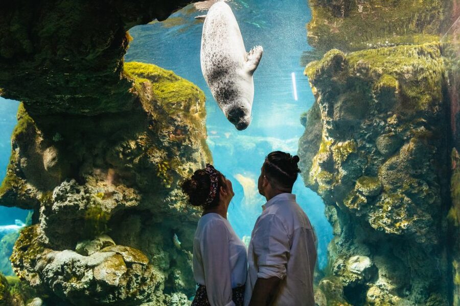 Genoa: Aquarium of Genoa Entry Ticket - How long to stay and when to go