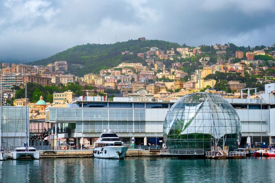 Genoa: Aquarium of Genoa with Lunch - The manatees, penguins, reef, and dolphins