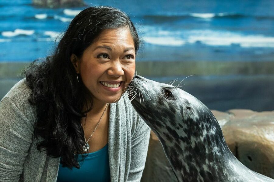 Georgia Aquarium: Sea Lion Encounter - Key points to know before booking