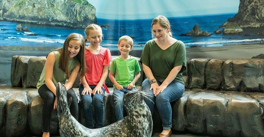 Georgia Aquarium: Sea Lion Encounter - What the 30-minute Sea Lion Encounter includes