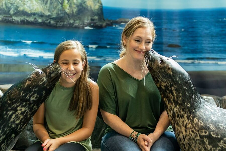 Georgia Aquarium: Sea Lion Encounter - The animals are the real focus