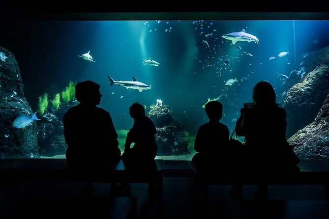 Gothenburg Universeum Ticket - Aquarium, Science, Wildlife, Zoo - Starting with a rainforest safari