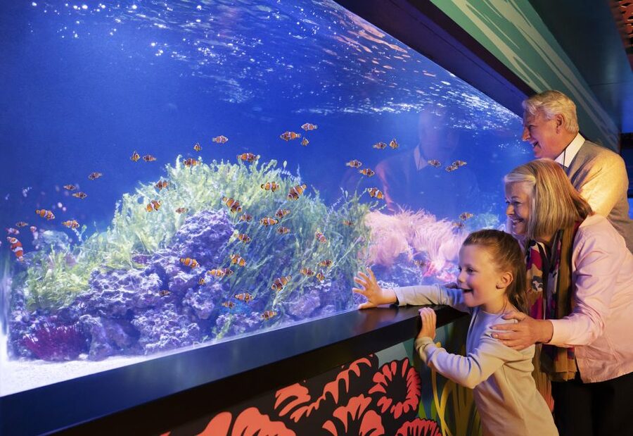 Grapevine: SEA LIFE Grapevine Aquarium General Admission - How long should you plan to stay?