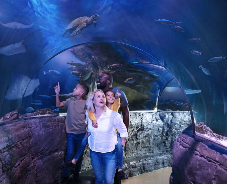 Grapevine: SEA LIFE Grapevine Aquarium General Admission - Rainforest Adventure, caimans, and the Piranha Tunnel
