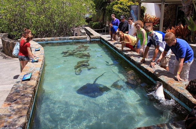 Guided Tour of Coral World Ocean Park & Happy Hour - Why the After-Hours Timing Changes the Visit