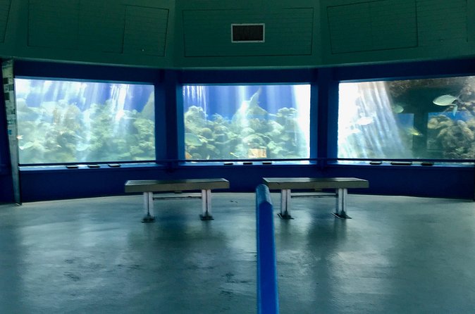 Guided Tour of Coral World Ocean Park & Happy Hour - Is $60 a Good Value?