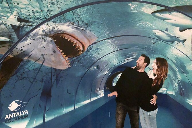 Half Day Antalya Aquarium Tour And Wax Museum - Why this half-day outing works in Antalya