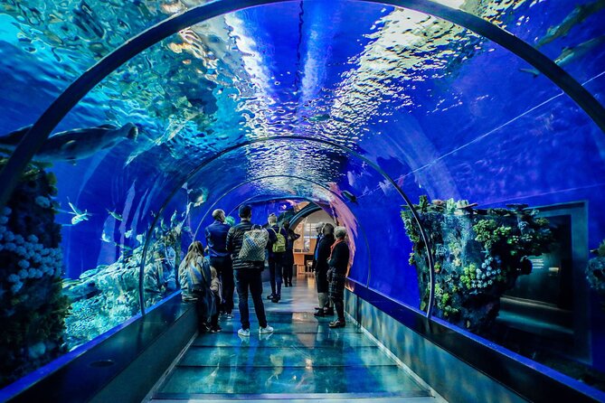Half Day Antalya Aquarium Tour And Wax Museum - The Face2Face Wax Museum in 30 minutes