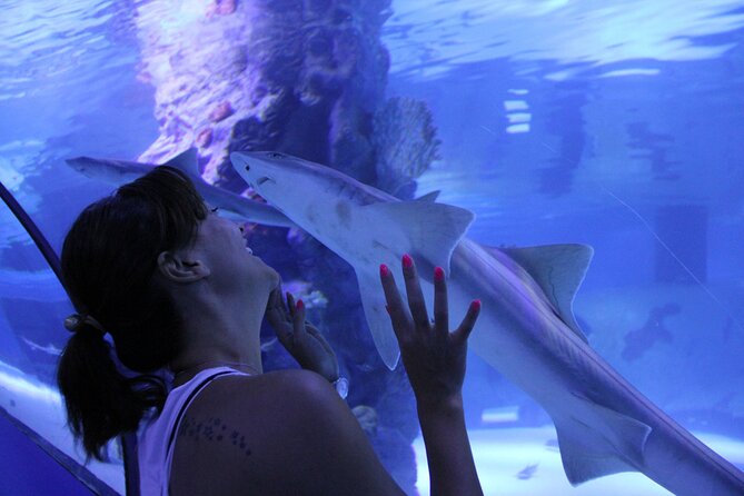 Half Day Antalya Aquarium Tour And Wax Museum - Returning to your hotel after the visit