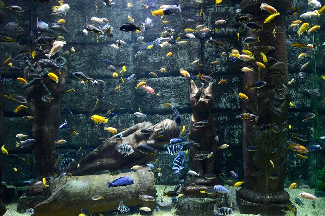 Half Day Antalya Aquarium Tour And Wax Museum - What the $70 price really covers