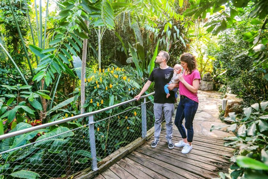 Hanover: SEA LIFE Entry Ticket - The rainforest greenhouse and Cuban crocodile