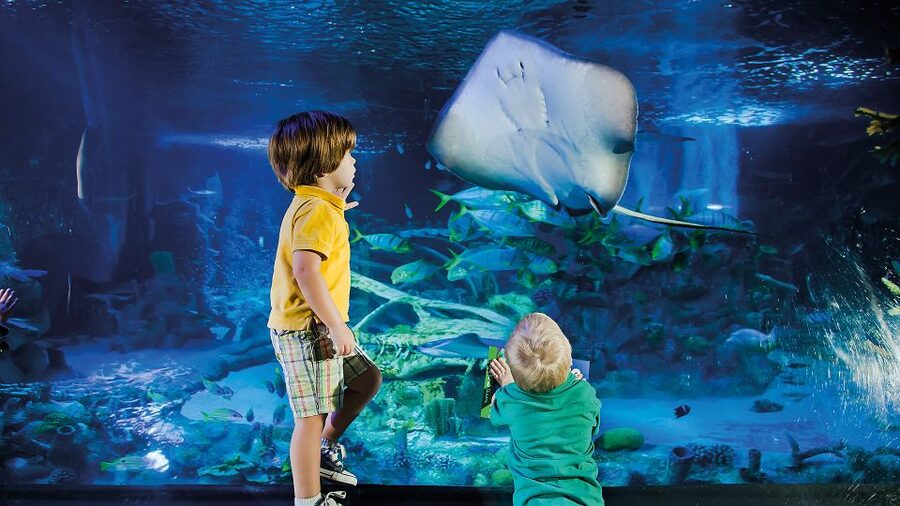 Helsinki: Sea Life Entrance Tickets - Key points to know before you go