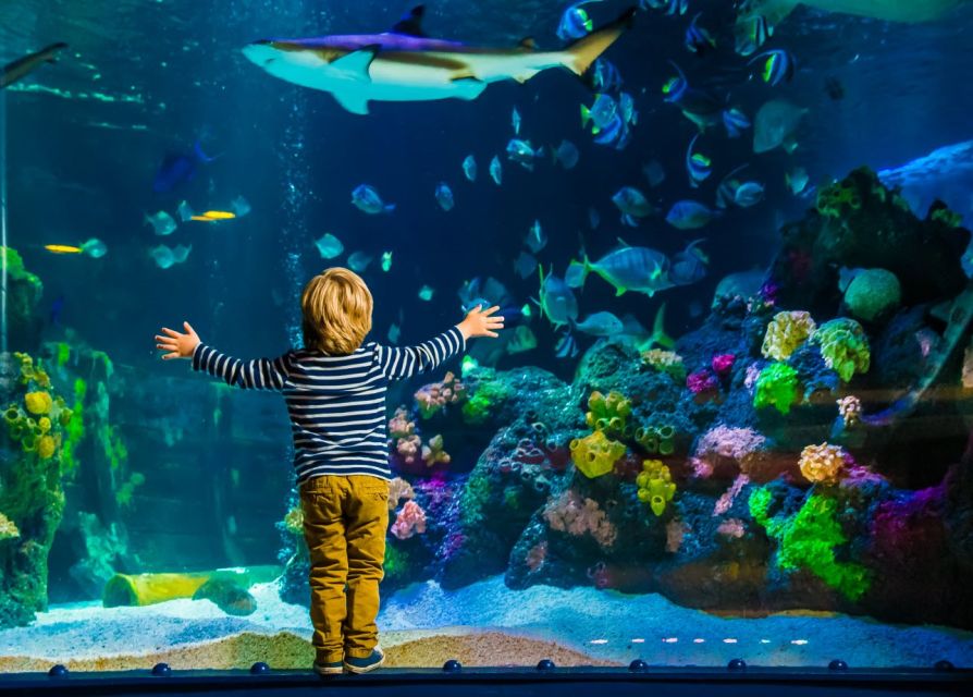 Helsinki: Sea Life Entrance Tickets - How much time should you allow?