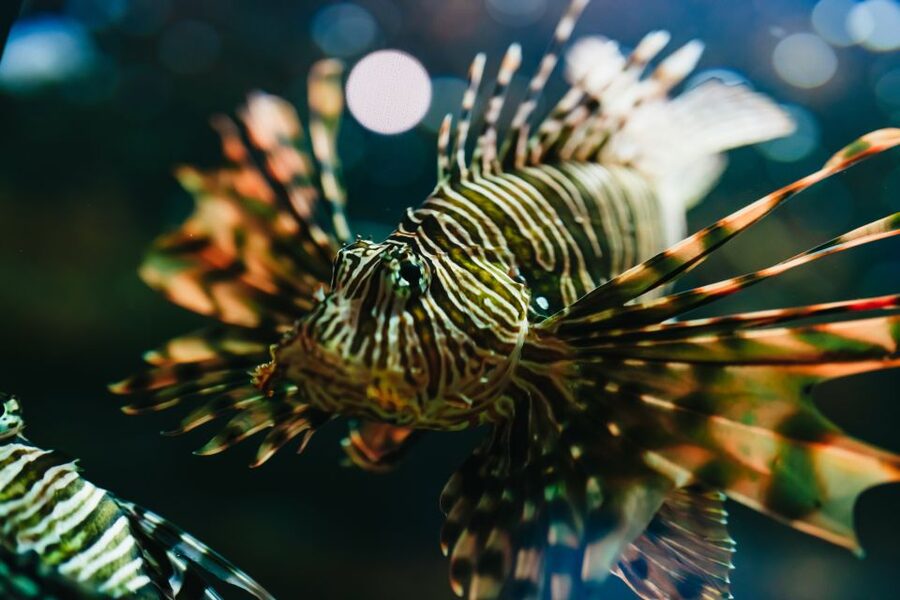 Heraklion Area: CRETAquarium Admission Ticket - What CRETAquarium is really like