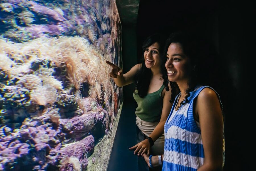 Heraklion Area: CRETAquarium Admission Ticket - The displays teach without turning into a classroom