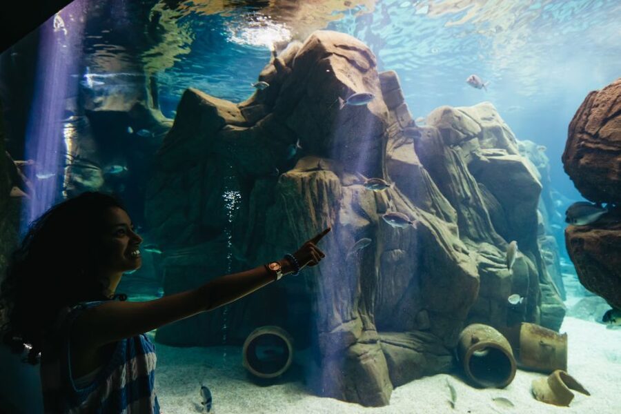 Heraklion Area: CRETAquarium Admission Ticket - The best time to arrive in summer